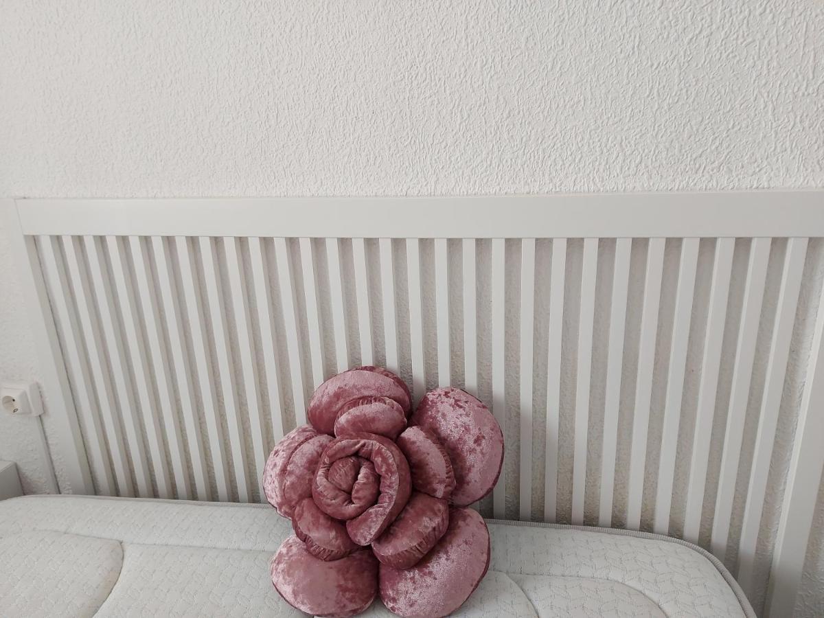 Arts & Sciences Museum/Beach Wifi Appartamento Valenza Esterno foto
